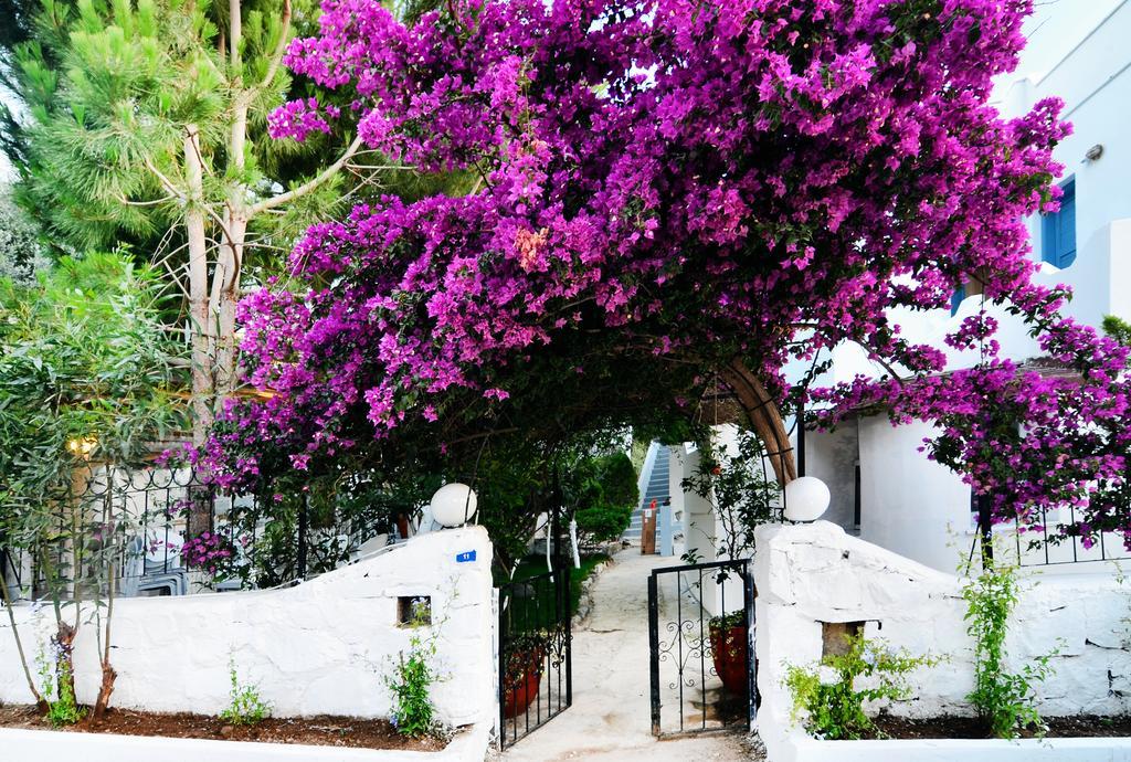 Misket Hotel Bodrum Gümüşlük Kültér fotó